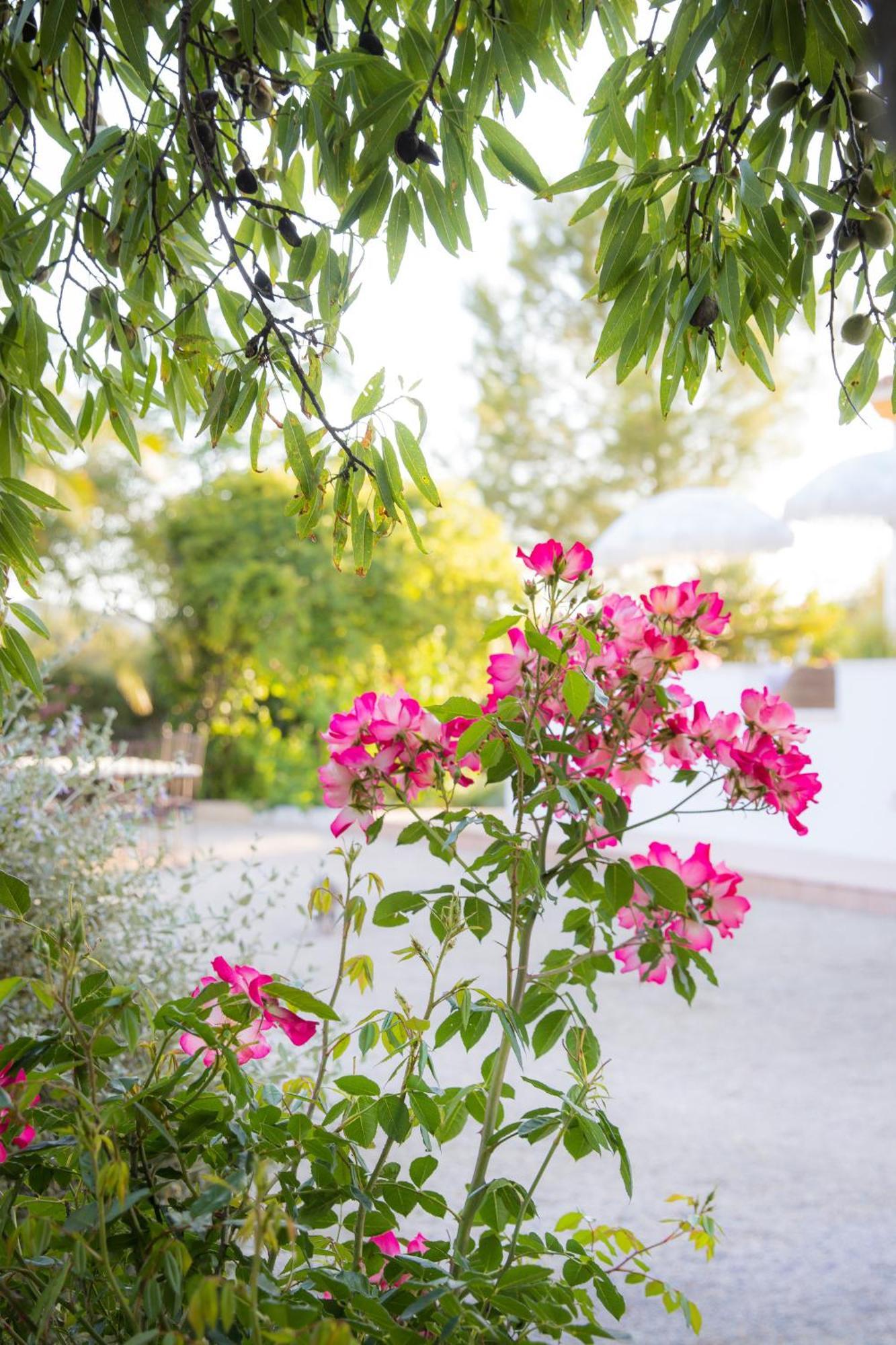 Hotel Hacienda El Tarajal à Priego de Córdoba Extérieur photo